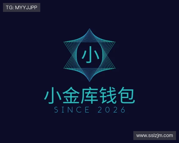 解读小金库钱包官网